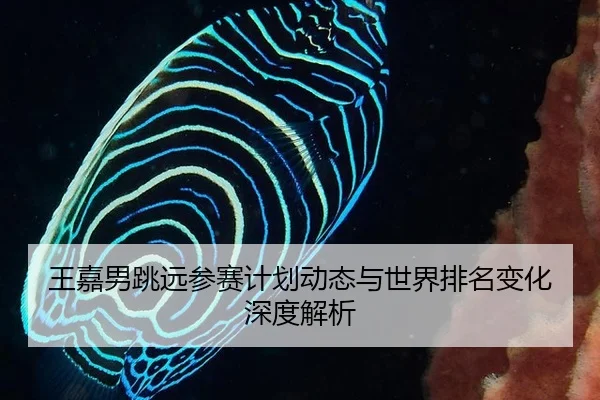 王嘉男跳远参赛计划动态与世界排名变化深度解析